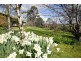 2 Dalrymple Street, Forth TAS 7310