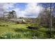 2 Dalrymple Street, Forth TAS 7310