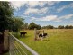 19 Bundarra Drive, Squeaking Point TAS 7307