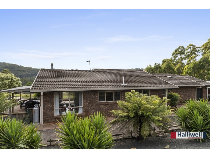 29 Farquhar Place, Kindred TAS 7310