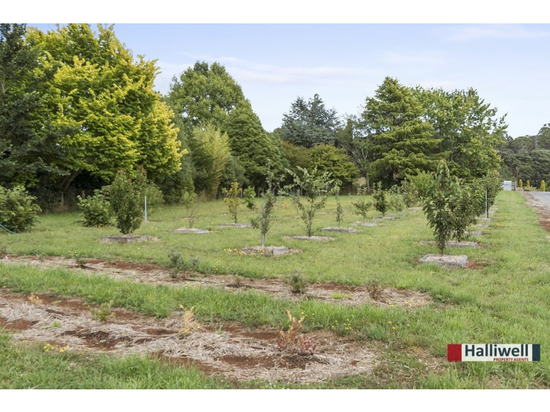 29 Farquhar Place, Kindred TAS 7310