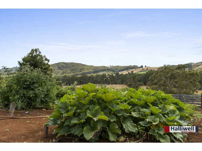 29 Farquhar Place, Kindred TAS 7310