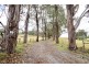 240 Bridle Track Road, Sheffield TAS 7306