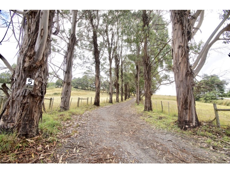 240 Bridle Track Road, Sheffield TAS 7306