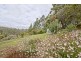 240 Bridle Track Road, Sheffield TAS 7306