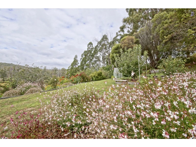 240 Bridle Track Road, Sheffield TAS 7306
