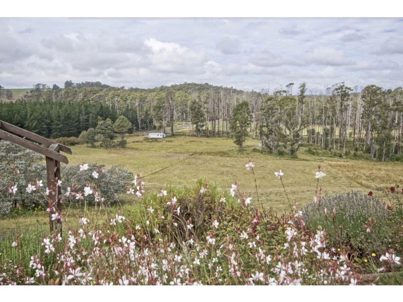 240 Bridle Track Road, Sheffield TAS 7306