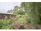 240 Bridle Track Road, Sheffield TAS 7306
