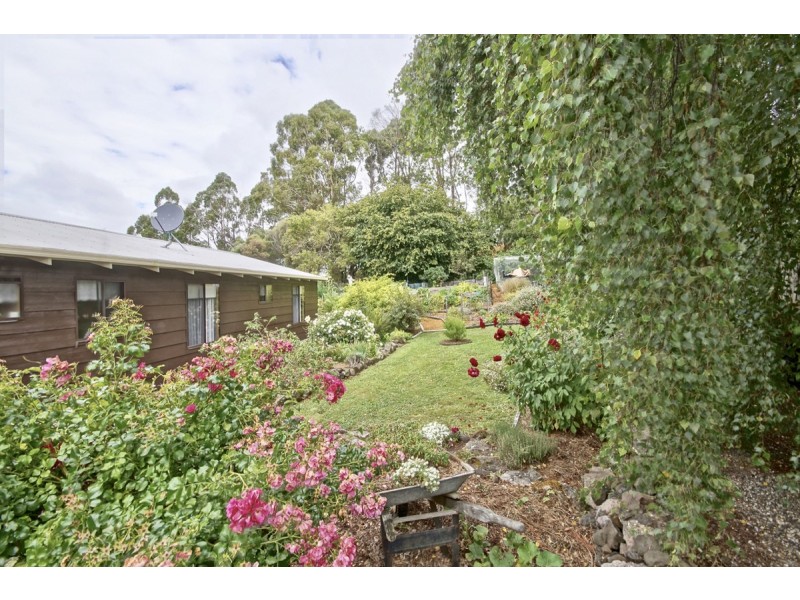 240 Bridle Track Road, Sheffield TAS 7306