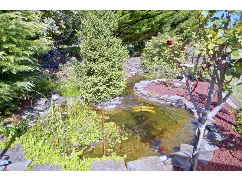 42 Maxwell Drive, Latrobe TAS 7307