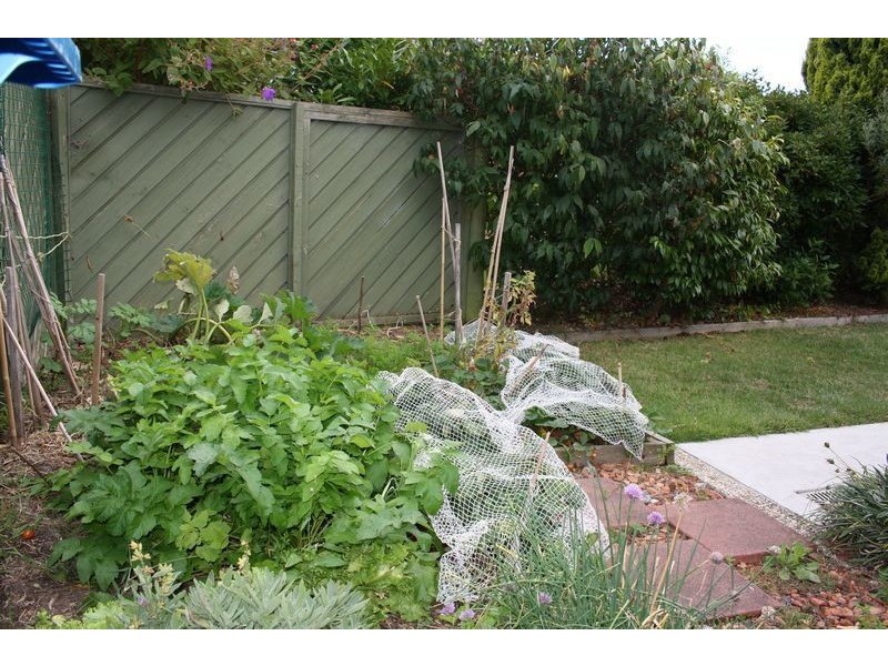 13/1 Seahaven Crescent, Shearwater TAS 7307