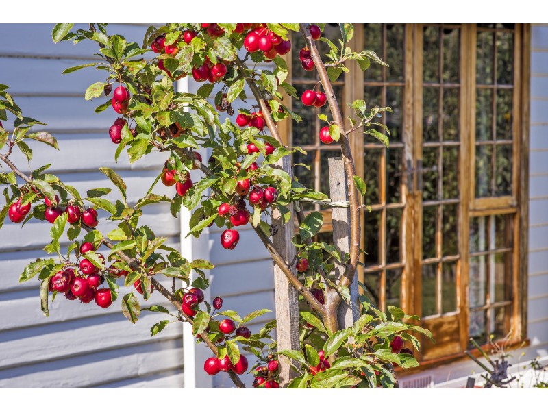 76 Murray Street, East Devonport TAS 7310