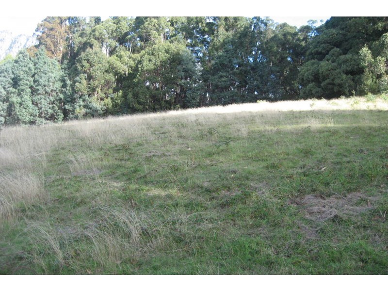 Careys Road, Claude Road TAS 7306