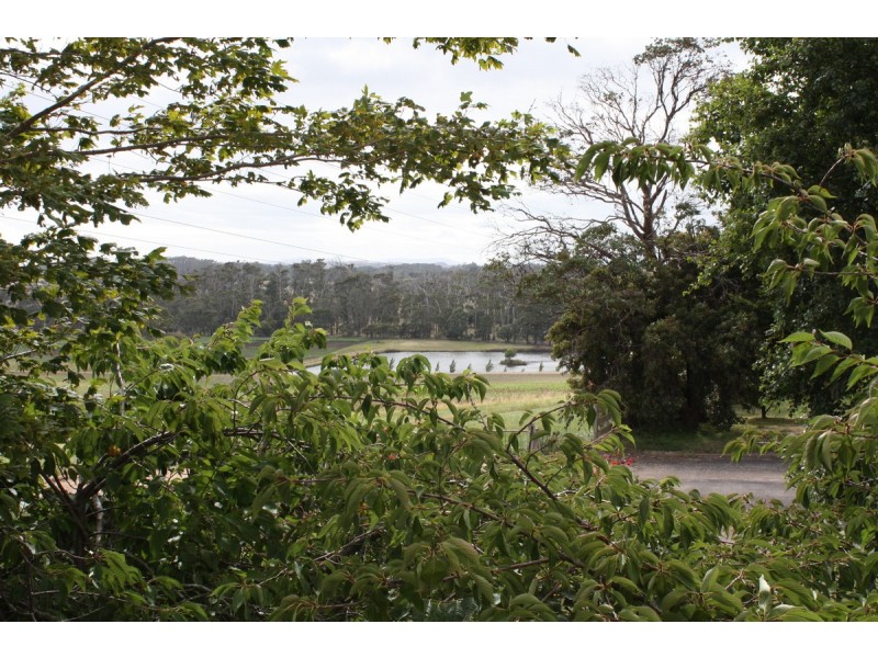 25 Autumn Drive, Ambleside TAS 7310