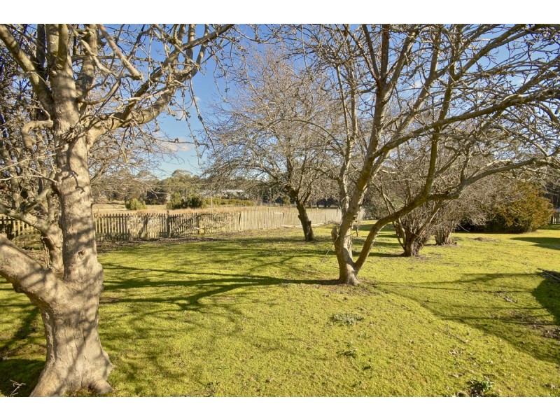 31 York Street, Latrobe TAS 7307