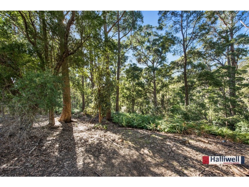 228 Grandview Drive, South Spreyton TAS 7310