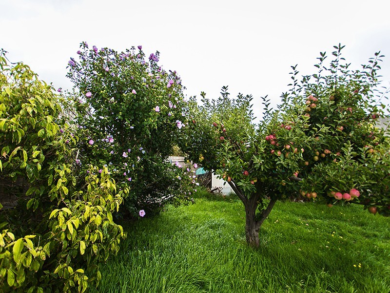 36 Thomas Street, East Devonport TAS 7310