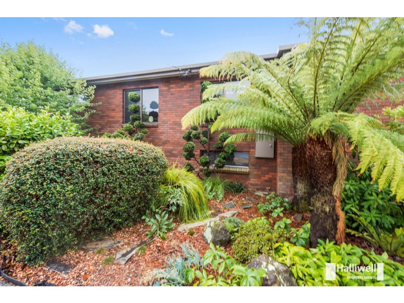 16 Somme Street, Miandetta TAS 7310