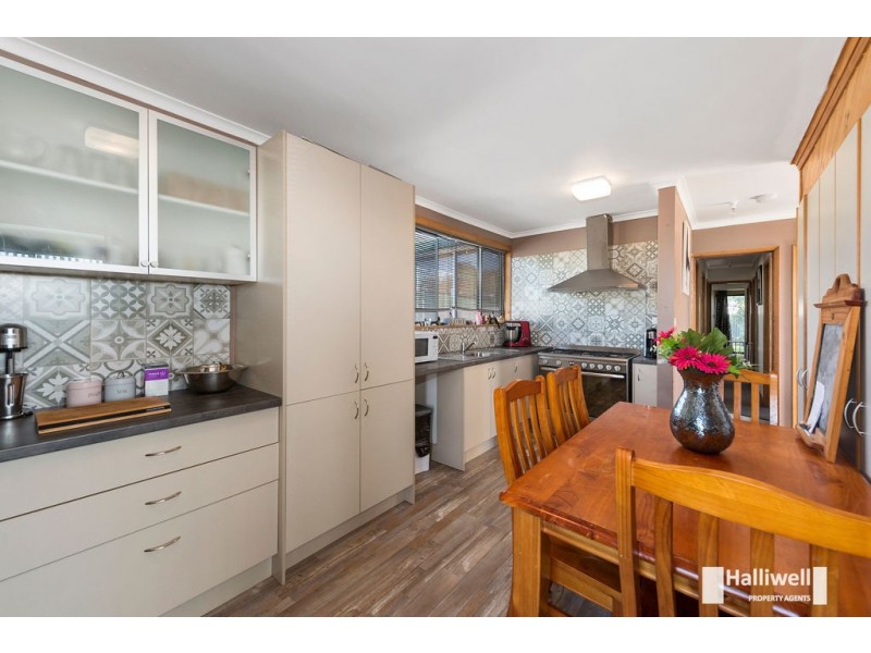 16 Springfield Court, Devonport TAS 7310