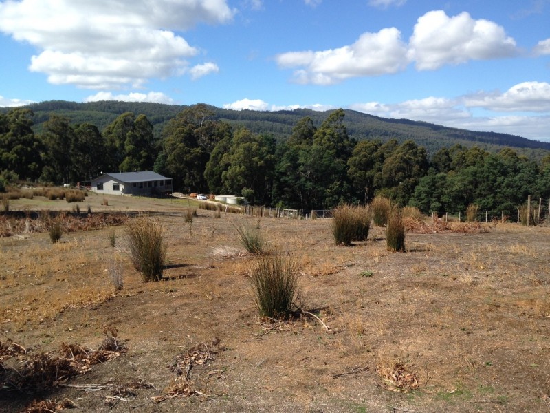 49 Roope Road, Lower Barrington TAS 7306