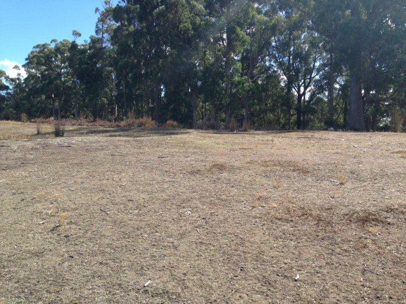 49 Roope Road, Lower Barrington TAS 7306