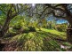 320 Cutts Road, Don TAS 7310