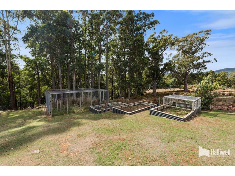 41 Roope Road, Lower Barrington TAS 7306