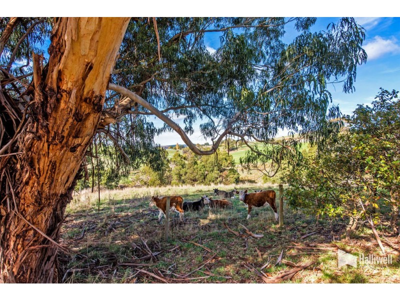 50 Littles Road, Forth TAS 7310
