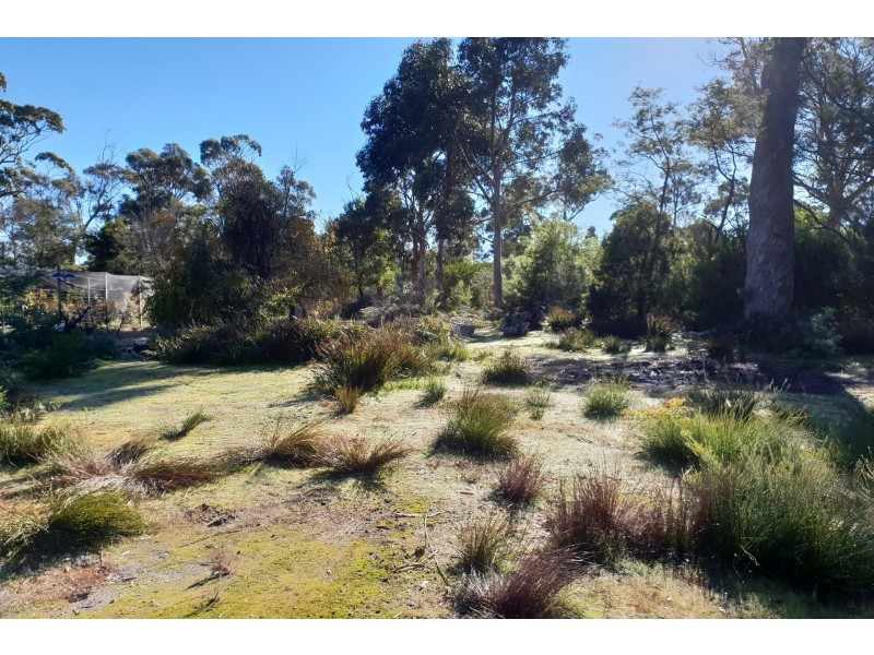 50 Shannon Drive, Squeaking Point TAS 7307