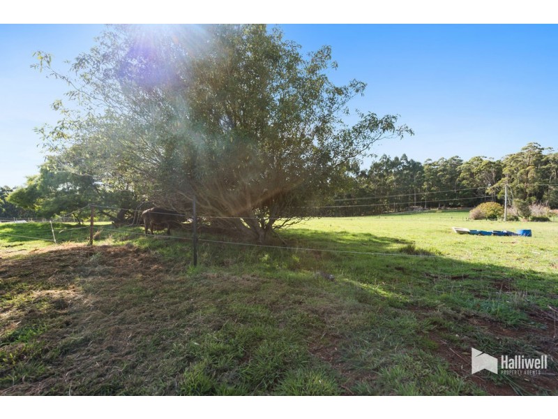 20 McNaughton Drive, Gawler TAS 7315