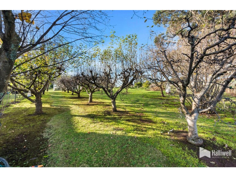 13 George Street, Forth TAS 7310