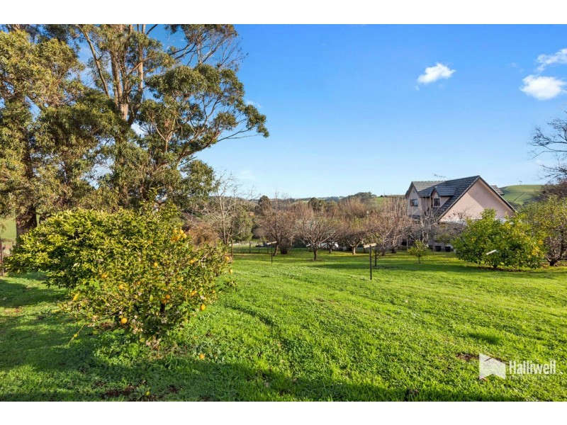 13 George Street, Forth TAS 7310