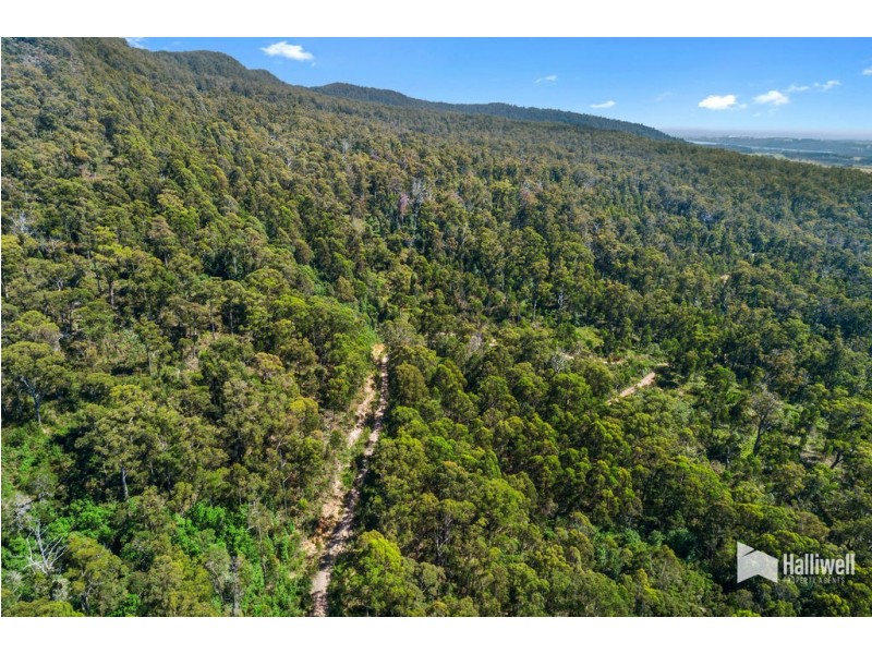 Dallys Road, Railton TAS 7305