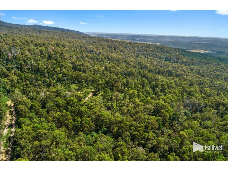 Dallys Road, Railton TAS 7305
