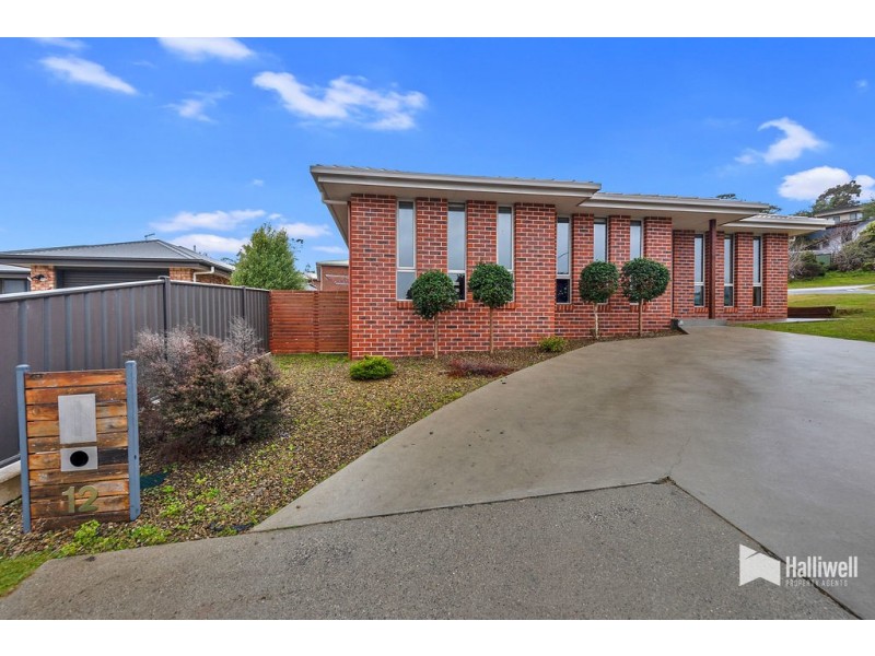 12 Valkyrie Close, Devonport TAS 7310
