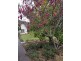34 Torquay Road, Latrobe TAS 7307