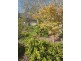 34 Torquay Road, Latrobe TAS 7307