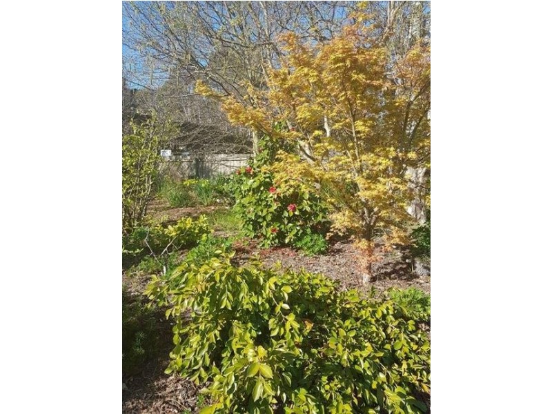 34 Torquay Road, Latrobe TAS 7307