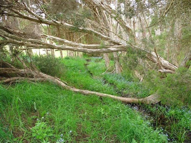 3 Braddons Lookout Road, Leith TAS 7315