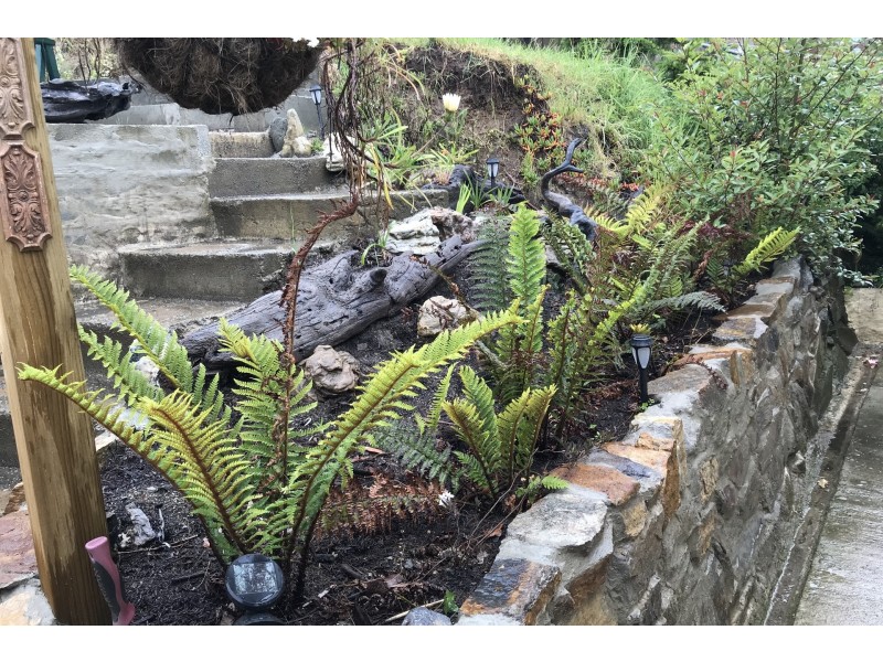 91 Lochner Street, Latrobe TAS 7307