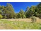 1803 Wilmot Road, Lower Wilmot TAS 7310