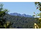 1803 Wilmot Road, Lower Wilmot TAS 7310