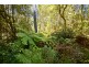 1803 Wilmot Road, Lower Wilmot TAS 7310