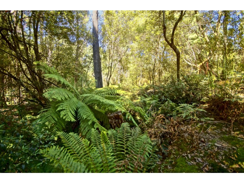 1803 Wilmot Road, Lower Wilmot TAS 7310