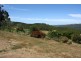 284 Old Paradise Road, Sheffield TAS 7306