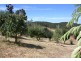 284 Old Paradise Road, Sheffield TAS 7306