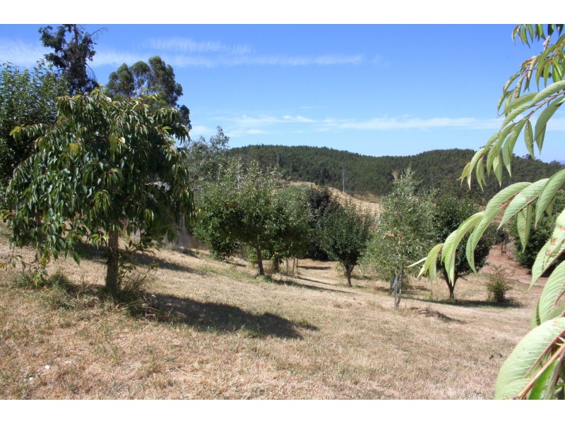 284 Old Paradise Road, Sheffield TAS 7306