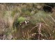 284 Old Paradise Road, Sheffield TAS 7306