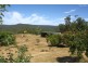 284 Old Paradise Road, Sheffield TAS 7306