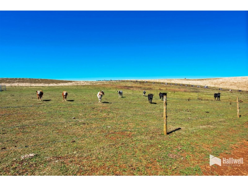1461 Castra Road, Sprent TAS 7315